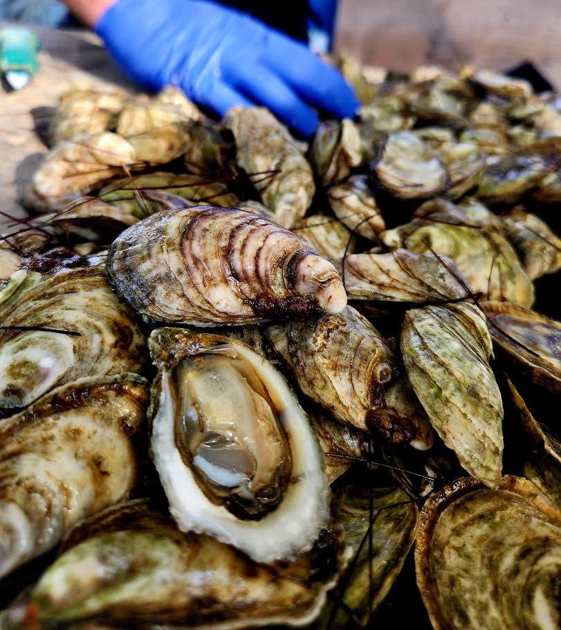 Classic Oysters on the Half Shell