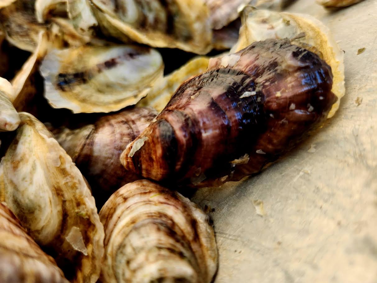 Grilled Oysters with Garlic Butter